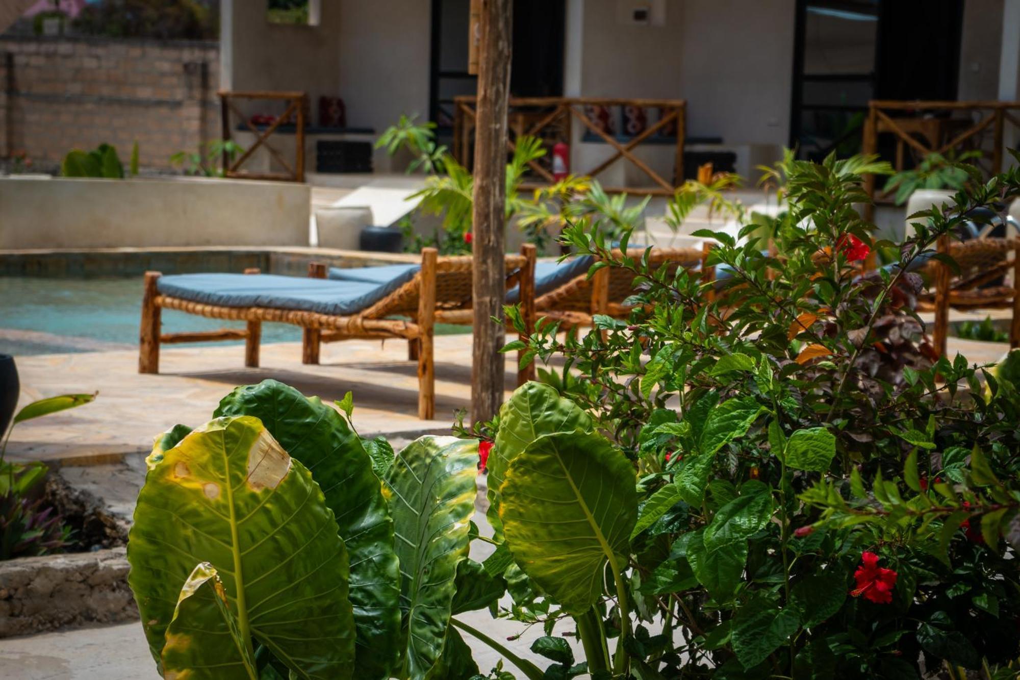 Blooming Zanzibar Hotell Jambiani  Eksteriør bilde